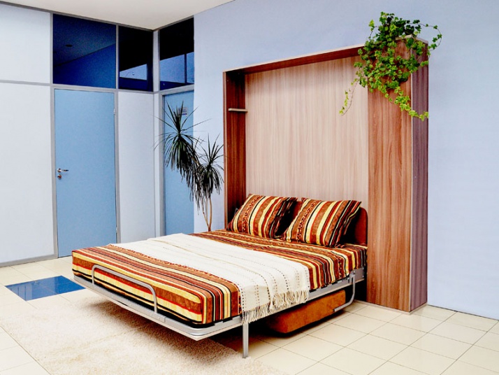 Lit armoire avec canapé