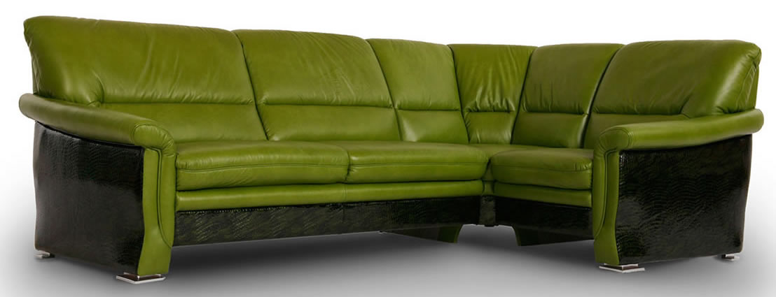 Canapé noir et vert