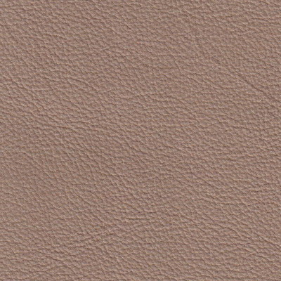 Cuir du groupe Semianiline