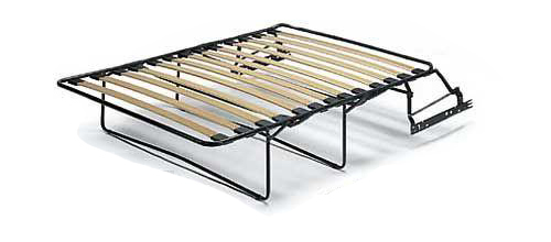 Mécanisme de transformation Palourde française