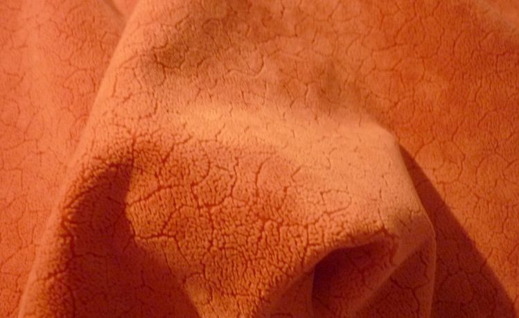 Canapé en tissu floqué