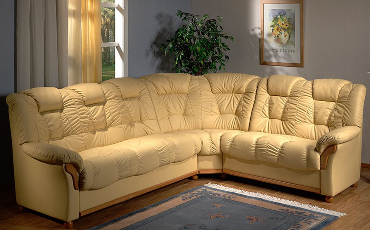 Canapé d'angle en cuir