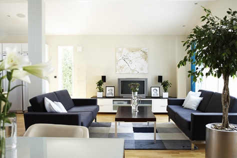 Deux canapés noirs dans un style moderne