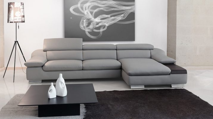 Canapé gris à l'intérieur