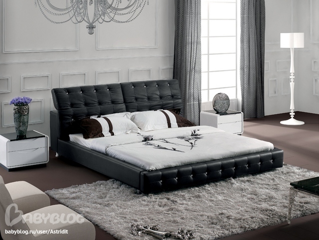 Une chambre avec un lit noir