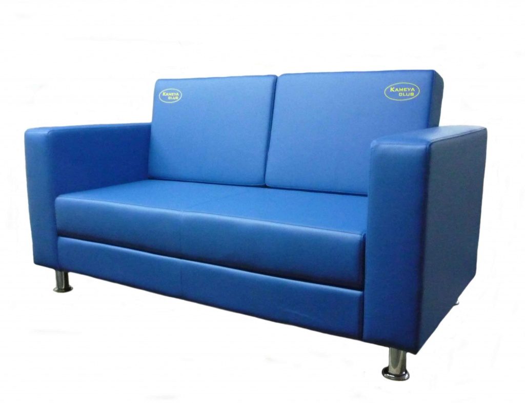 Canapés bleus élégants